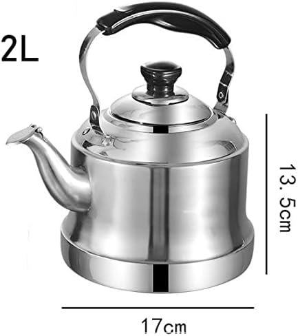 2L Stainless Steel Whistling Tea Kettle with Infuser