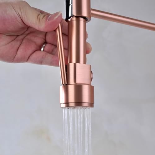 Avola Copper Kitchen Faucet with Pull-Down Sprayer, Rose Gold