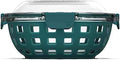 Ello 5-Cup DuraGlass Glass Lunch Bowl with Airtight Lid