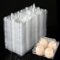 DAJAVE 100 Pack Plastic Egg Cartons