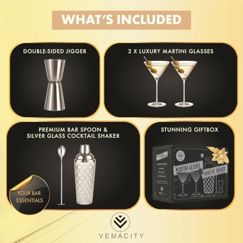 VEMACITY Silver Cocktail Shaker Set + 2 Ribbed Martini Glasses & Bar
