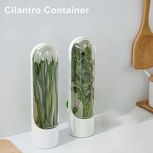 Herb Keeper Container for Refrigerator, Cilantro Saver