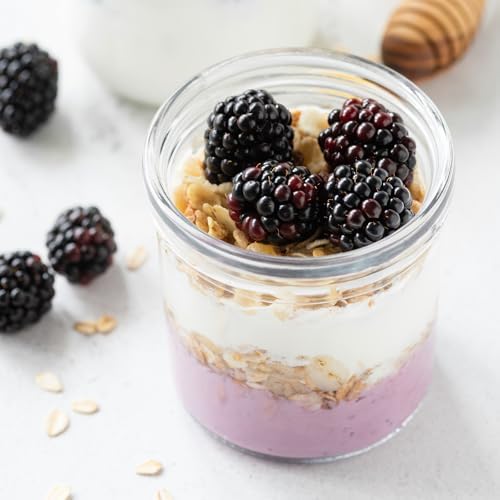 SHOWIN 16 oz Glass Overnight Oats Containers with Lids, 4-Pack