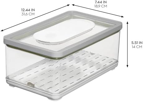 iDesign Large Fridge Produce Bin with Removable Drainage Tray and Lid