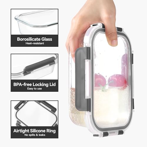 BAYZZ 10 Pack 22 oz Glass Meal Prep Containers
