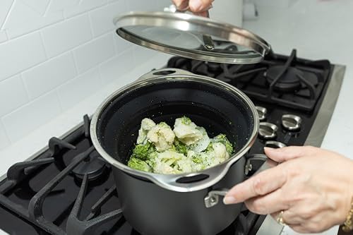 Better Houseware Silicone & Stainless Steel Collapsible Colander