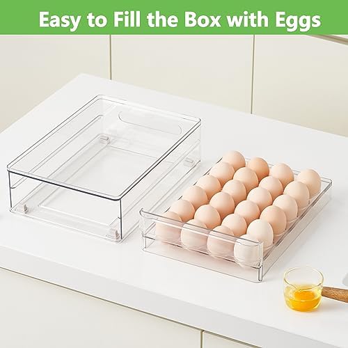 vacane 24 Capacity Egg Holder for Refrigerator