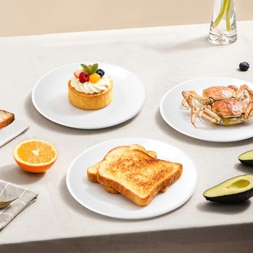Set Of 6 8 Inch White Dinner Plates