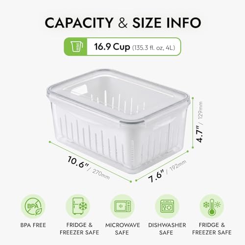 carrotez 16.9 Cup Produce Saver Container for Fridge