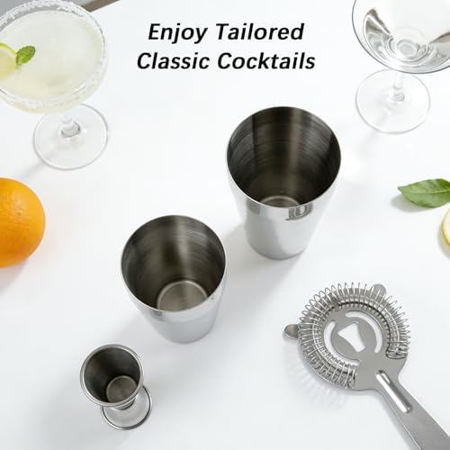 Cocktail Shaker, Professional 5-Piece Bartender Kit with Boston