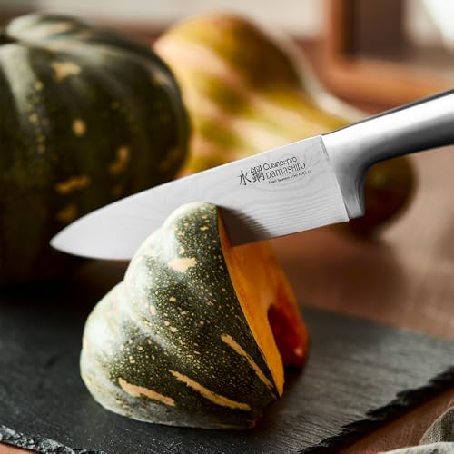Cuisine::pro Damashiro Hiryu 10-Piece Japanese Steel Knife Set