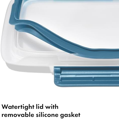 OXO Good Grips Prep & Go 2 Cup Divided Food Storage Container - Ocean