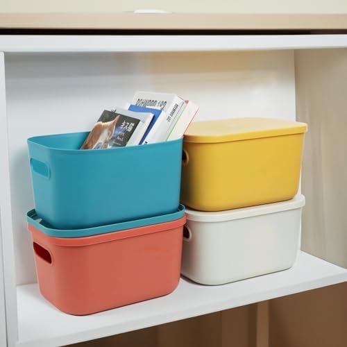 6Pcs Small Storage Bins with Lids, 6 Color