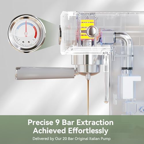 Gevi 20 Bar Espresso Machine with Conical Burr Grinder