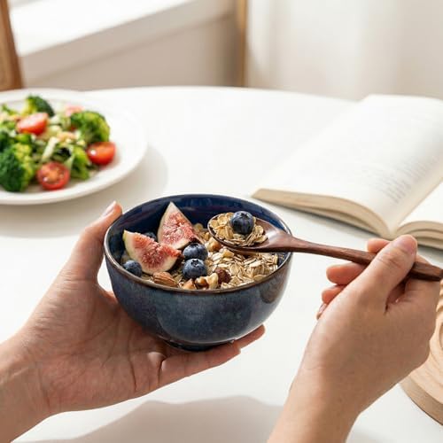ZOOFOX Set of 8 Small Bowls, 10 Ounce Ceramic Bowls for Side Dishes