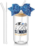 Hushee Senior Night Gifts Class of 2027 Glass Water Bottle, Volleyball