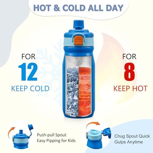 Bento Lunch Box for Kids with 8oz Soup Thermo, Leak-proof Lunch Food