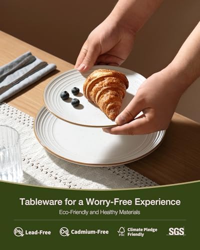 Famiware Jupiter Dinnerware Sets, Stoneware Dishes for 8, Plates and Bowls