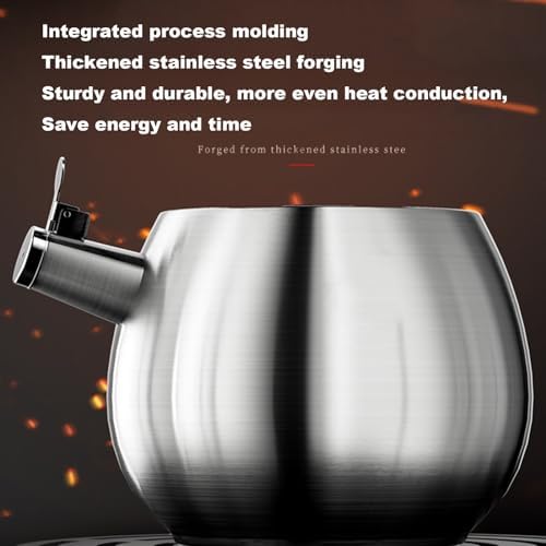 4.2 Quart Tea Kettle, 316 Stainless Steel
