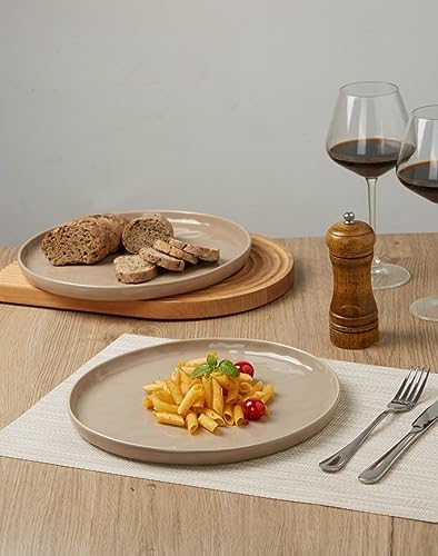 famiware Mars 6 Pieces Dinner Plates, 10.25 inch Plate Set, Scratch