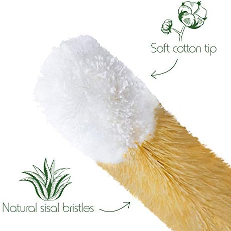 Bambaw Bottle Cleaner Brush Set, 4 Cleaning Brushes