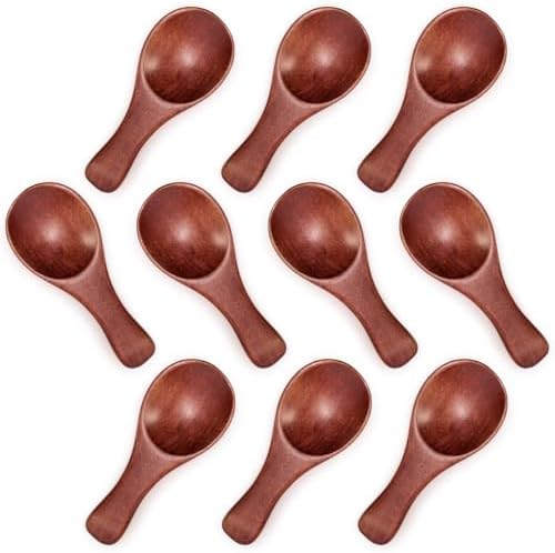 HANSGO 10PCS Small Wooden Spoons, 3.25 Inch Wooden Teaspoons, Cute