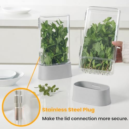 vacane Fresh Herb Keeper for Refrigerator