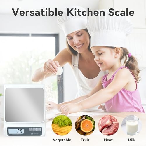 CYBERGIANT 13lb/0.1g Precision Digital Food Scale - Meal Prep Kitchen