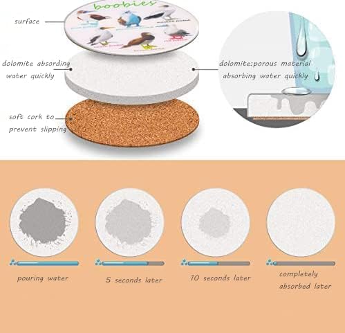 Bird Ceramic Coasters For Drinks with Holder And Cork Base, Set Of 6