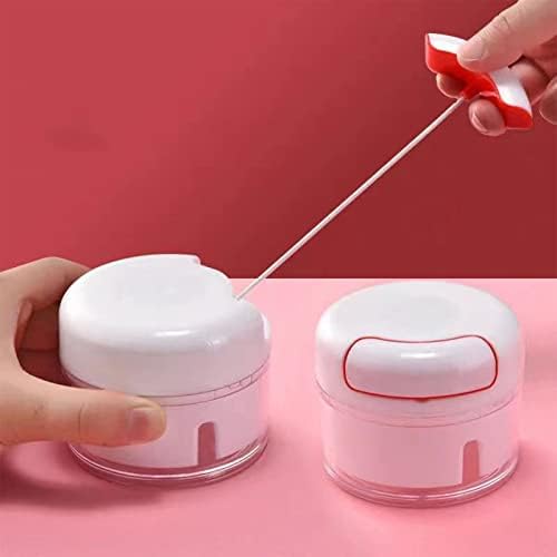 Mini Garlic Chopper, Garlic Mincer Manual Hand Food Chopper Manual