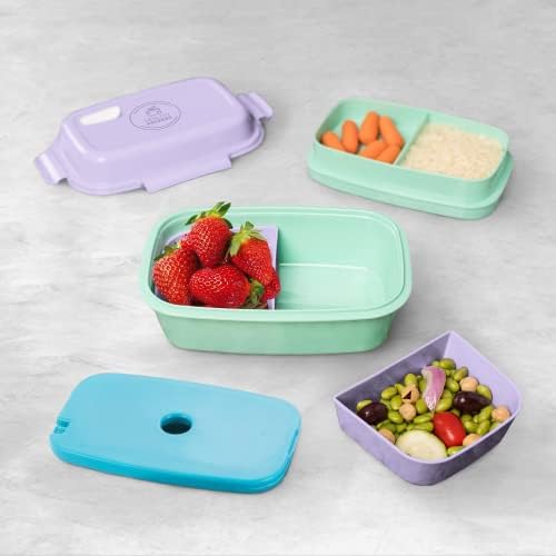 Healthy Packers Bento Box with Ice Pack, Purple/Green