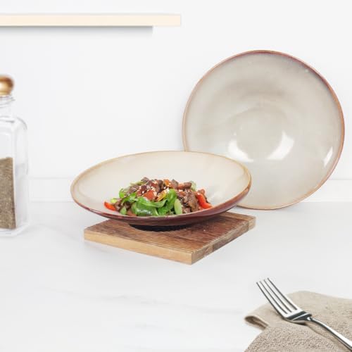 Ceramic Pasta Bowls 17 Oz, Salad plates, for Serving Soup Pasta Noodle
