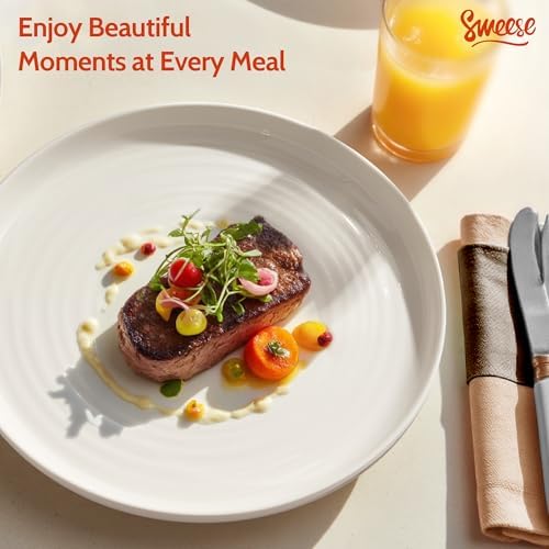 Sweese Porcelain Dinner Plates Set of 6, 10.5 Inch Dish Set