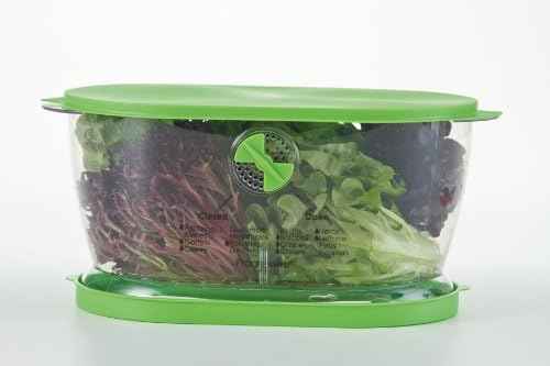 Prep Solutions by Progressive Lettuce Keeper, 4.7 Quarts
