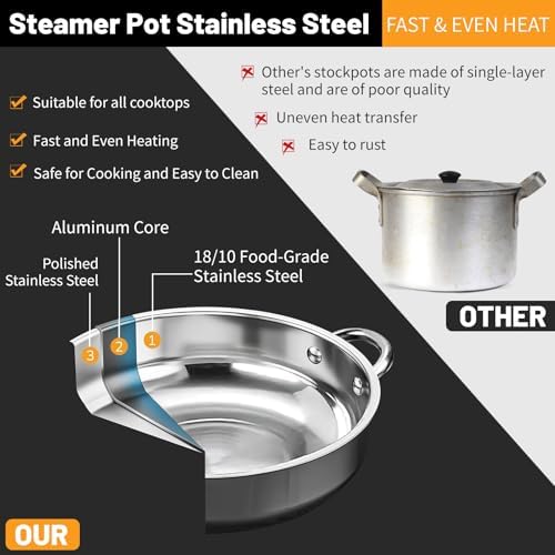 2-Tier 28cm 304 Stainless Steel Steamer Pot with Glass Lid,for Dumplings, Seafood, Veggie Stews & Homemade Soups
