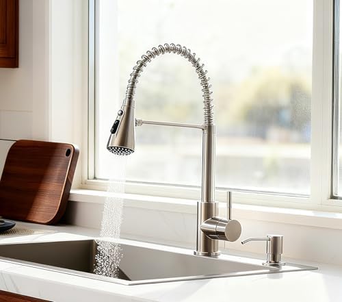 Sink Soap Dispenser Pump with 2 Sponge Holders, Curovtrp Soap