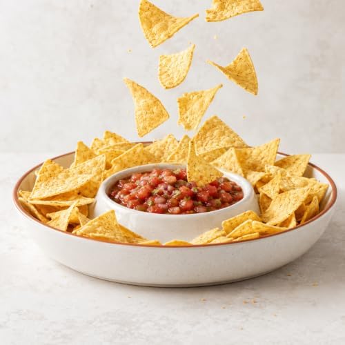 FUN ELEMENTS Ceramic Chips and Dip Serving Tray: 12 Inch Large Divided