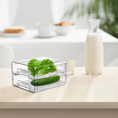 Fridge Drawer 2 Layer Refrigerator Organizer Bins Pull-Out Transparent