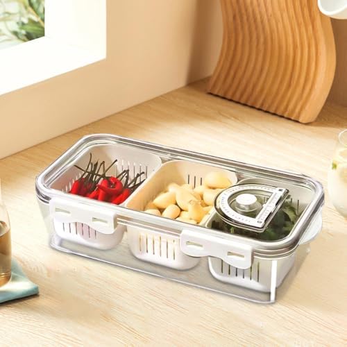 Food Containers Divided Transparent Keeper Container With Lid