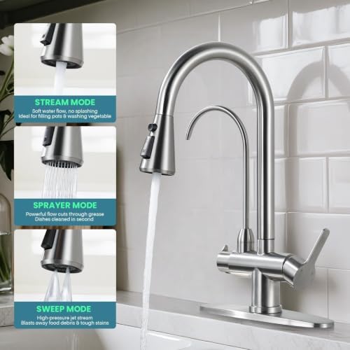 Brushed Nickel Kitchen Faucet with Water Filter