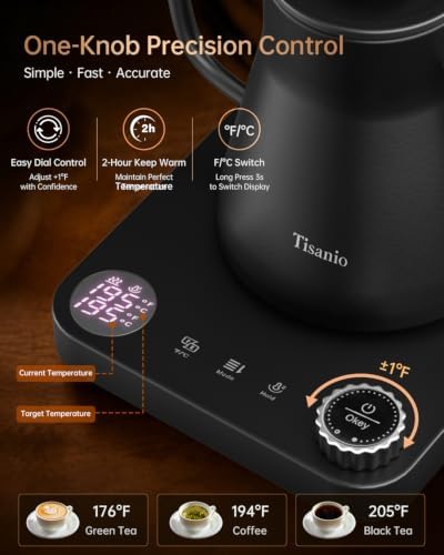 Gooseneck Electric Kettle with Temperature Control