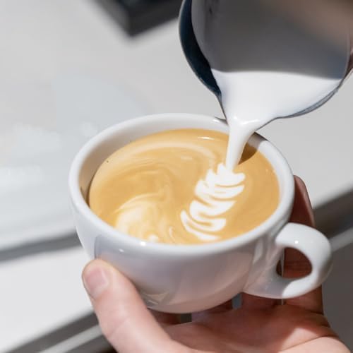 CASABREWS CASMP350 Milk Frothing Pitcher with Sharp Spout, 350ml