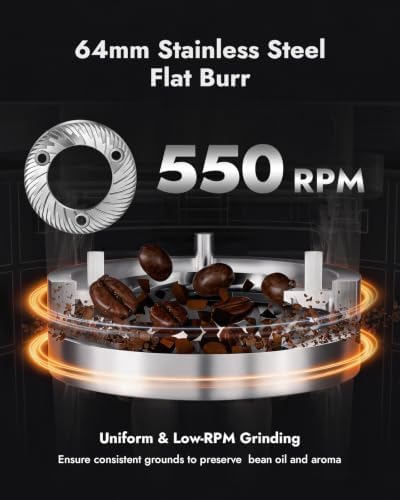 DAOFEL 64MM Flat Burr Coffee Grinder, 100 Settings