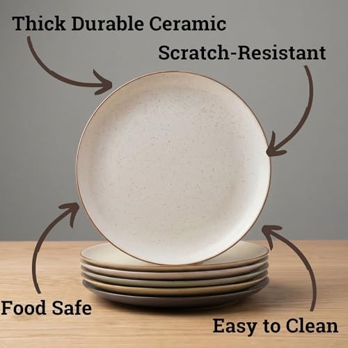 Ceramic Dinner Plates Set of 6, 10.25 Inch, Stoneware, 6 Beautiful