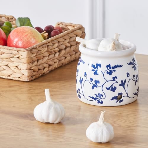 Terracotta Garlic Storage Container, Ceramic Keeper for Kitchen