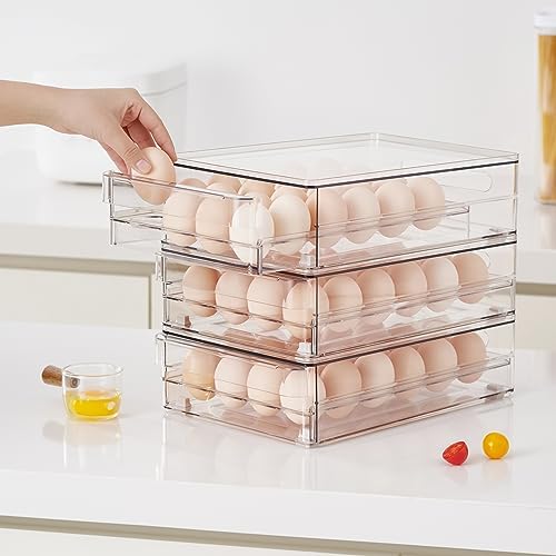 vacane 24 Capacity Egg Holder for Refrigerator