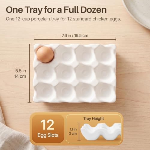 Flexzion Ceramic Egg Holder for Fridge, 12-Cup