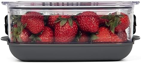 Progressive ProKeeper Berry Keeper, 1.2 qt (PKS-912)