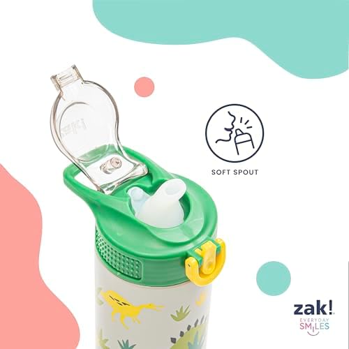 Zak Designs KPop Demon Hunters Sage 19oz Leak-Proof Straw Kids Water