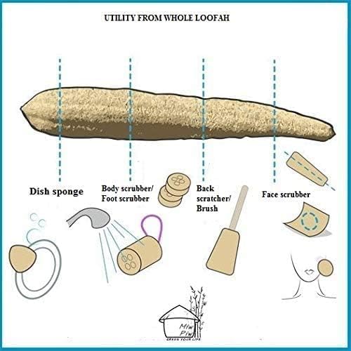 Natural Whole Loofah Sponge - Image 3